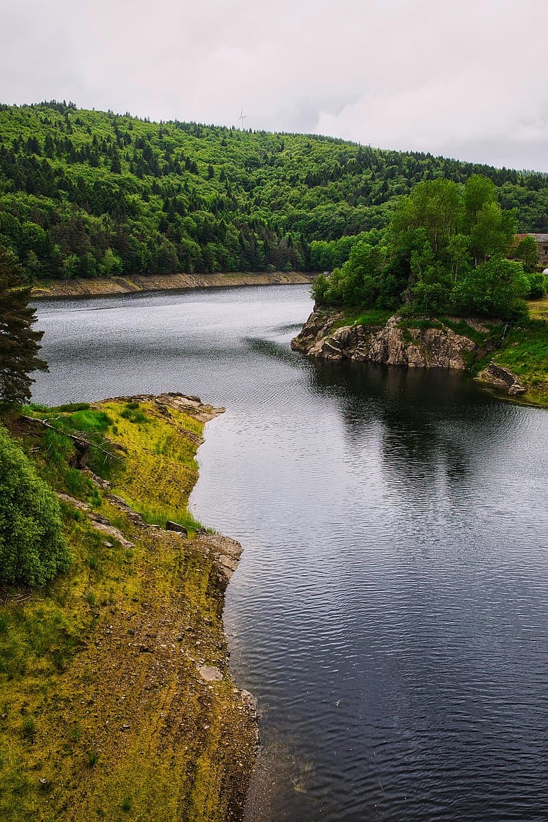 Ілюстрація до a river